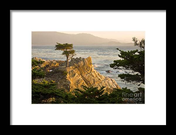 California Framed Print featuring the photograph Monterey Bay Lone Cypress by Greg Clure
