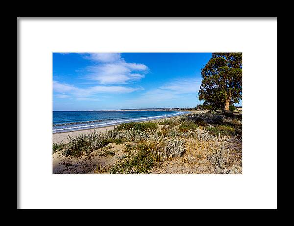 California Framed Print featuring the photograph Monterey Beach and Flora by Derek Dean