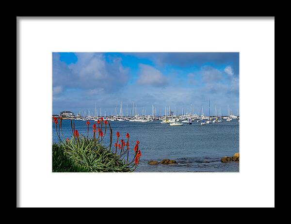 Monterey Framed Print featuring the photograph Monterey Breakwater by Derek Dean