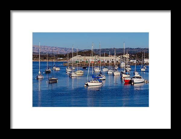 Monterey Framed Print featuring the photograph Monterey Harbor by Derek Dean