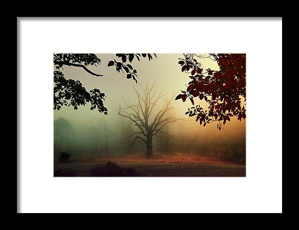 Eerie Framed Print featuring the photograph Monument by Rob Blair