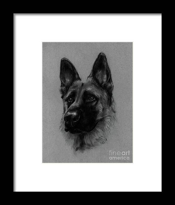 Gsd Framed Print featuring the drawing Mookie by Samantha Strong
