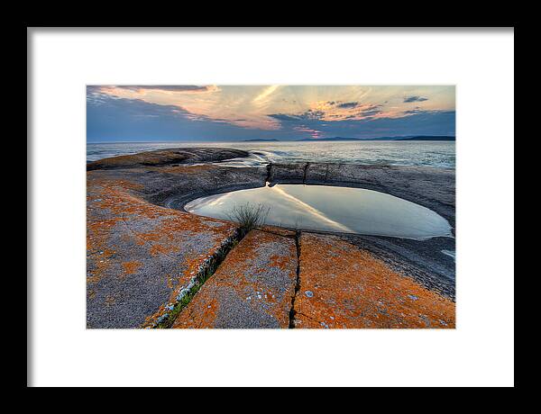Water Framed Print featuring the photograph Moon Flower by Doug Gibbons