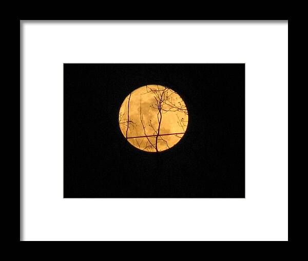 Moon Framed Print featuring the photograph Moon by Creative Solutions RipdNTorn