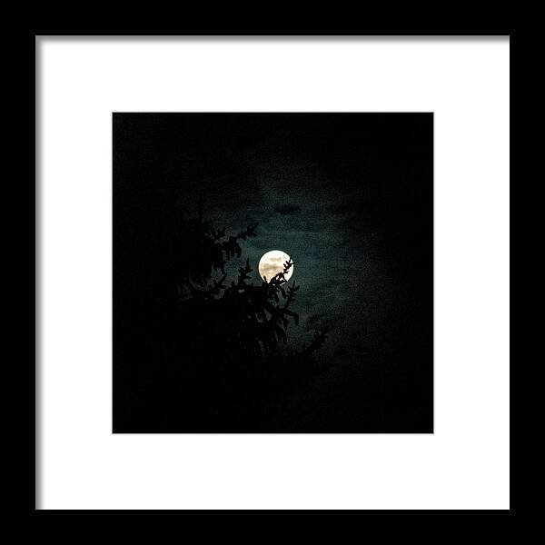 Framed Print featuring the photograph Moonlight by Carol Eliassen