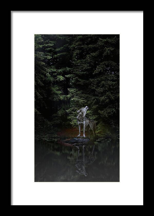 Wolf Framed Print featuring the digital art Moonlight Rhapsody by John Christopher