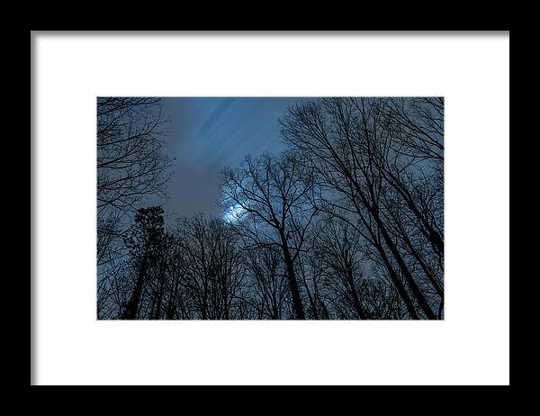 Backyard Framed Print featuring the photograph Moonlit Sky by Rod Kaye