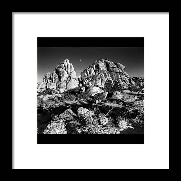 Picture Framed Print featuring the photograph Moonrise Over Joshua Tree. 8x10 by Alex Snay