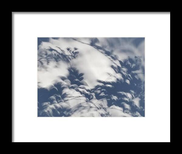 Eclipse Framed Print featuring the photograph Moon Shadow Floral by Carla Parris