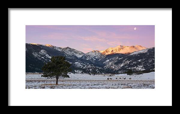 Moraine Framed Print featuring the photograph Moraine Park - Rocky Mountain National Park by Aaron Spong
