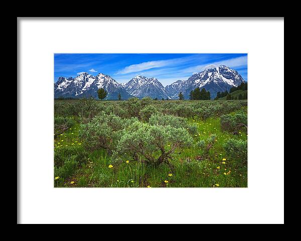 Grand Tetons Framed Print featuring the photograph Moran Meadows by Darren White