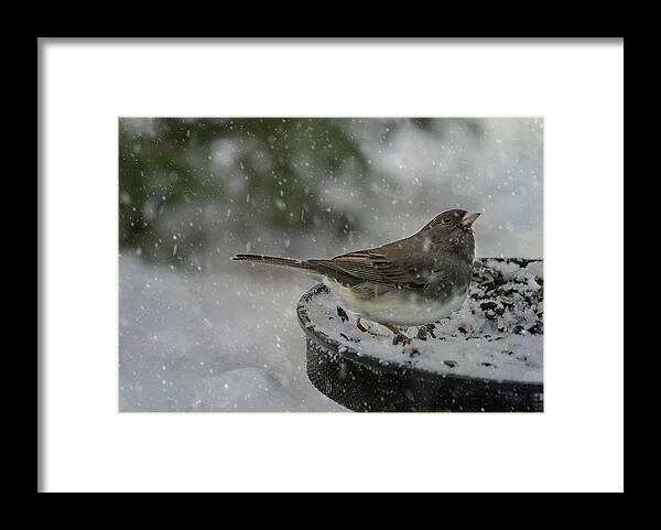 Bird Framed Print featuring the photograph More Snow? by Cathy Kovarik