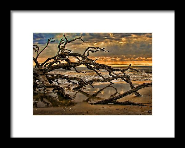 Driftwood Framed Print featuring the photograph More Wood by Joetta West