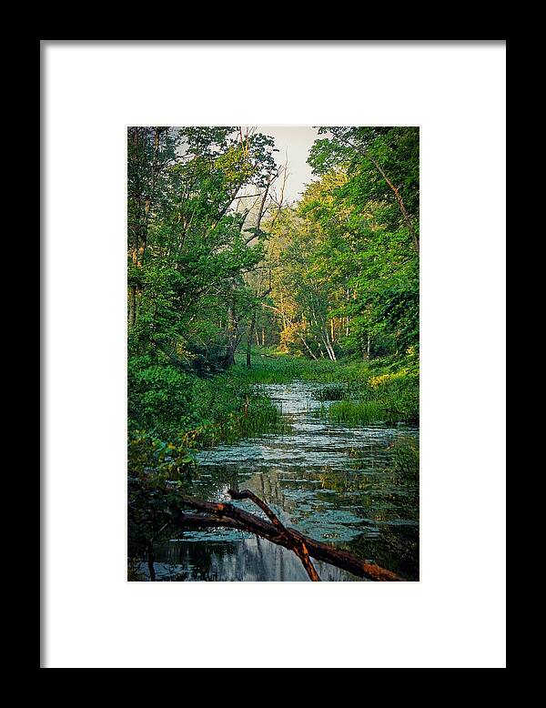  Framed Print featuring the photograph Morning Comes To The Marsh by Kendall McKernon