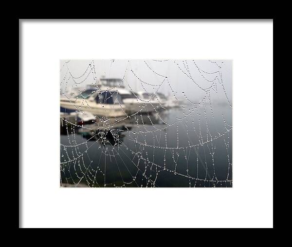 Foggy Framed Print featuring the photograph Morning Dew at the Marina by David T Wilkinson