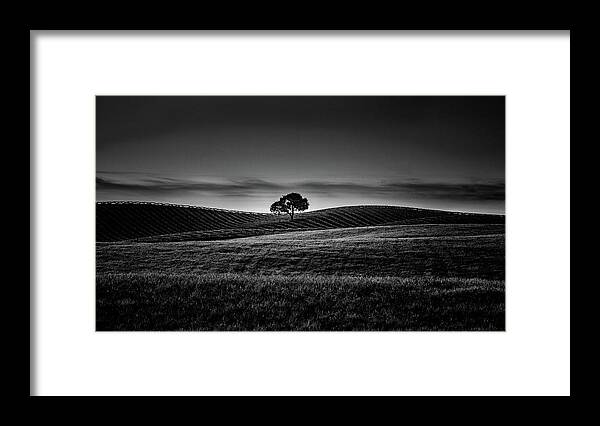 Paso Robles Framed Print featuring the photograph Morning Dew by Joseph Smith