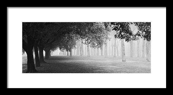 Fog Framed Print featuring the photograph Morning Fog by Matteo Chiarello