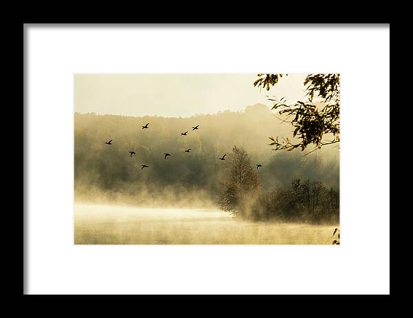 Haley Pond Framed Print featuring the photograph Morning fog on Haley Pond in Rangeley Maine by Jeff Folger