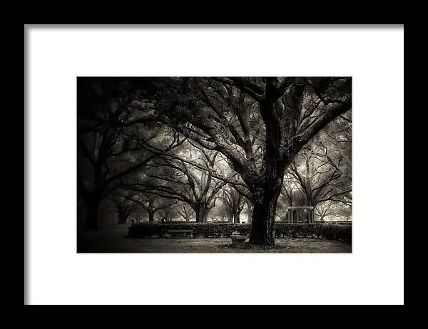  Framed Print featuring the photograph Morning Fog by Stoney Lawrentz