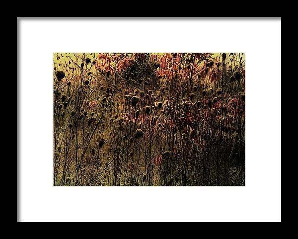 Iandscape Framed Print featuring the photograph Morning Glow by Jim Vance