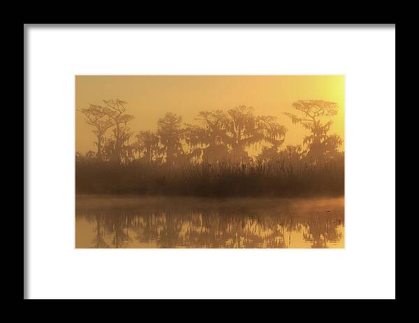 Florida Framed Print featuring the photograph Morning Glow by Stefan Mazzola