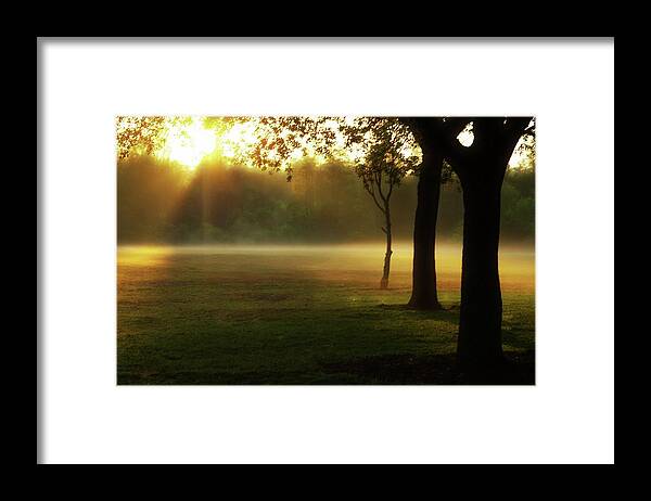 Fog Framed Print featuring the photograph Morning Glow by Stoney Lawrentz
