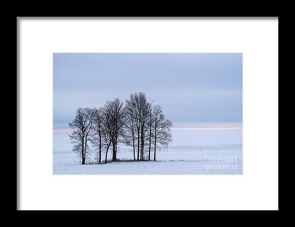 Winter Framed Print featuring the photograph Morning Grace by Joann Long
