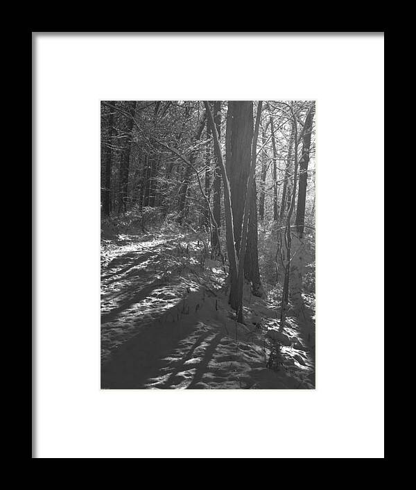 Photography Framed Print featuring the photograph Morning In A Winter Forest by Phil Perkins