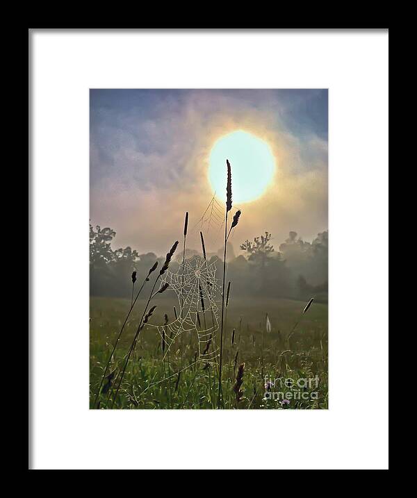 Sunrise Framed Print featuring the photograph Morning Light by Kerri Farley
