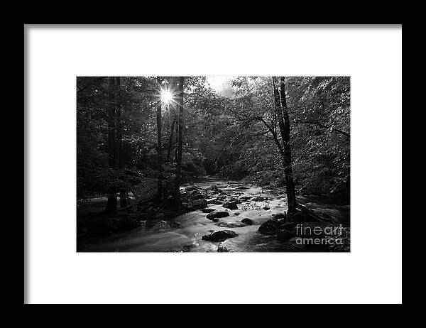 River Framed Print featuring the photograph Morning Light On The Stream by Mike Eingle