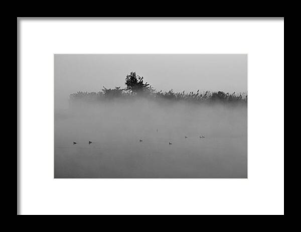 Mist Framed Print featuring the photograph Morning Mist At Wetland Of Harike by Manjot Singh Sachdeva