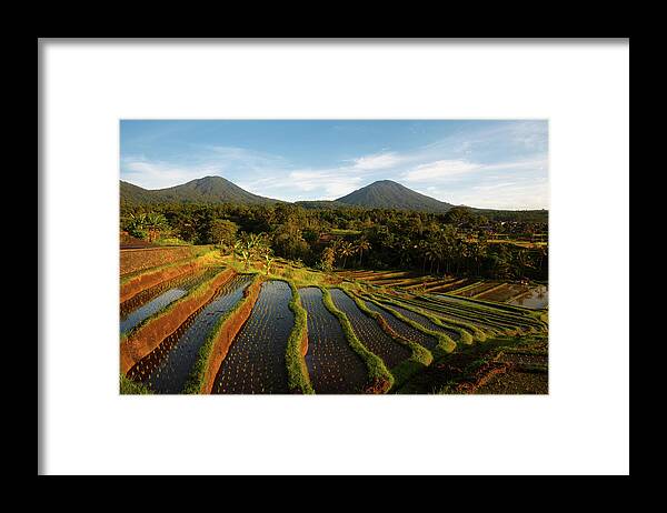 Jatiluwih Framed Print featuring the photograph Morning on the Terrace by Andrew Kumler