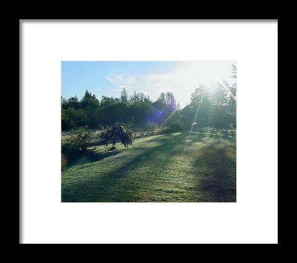 Morning Framed Print featuring the photograph Morning Shadows by Shirley Heyn