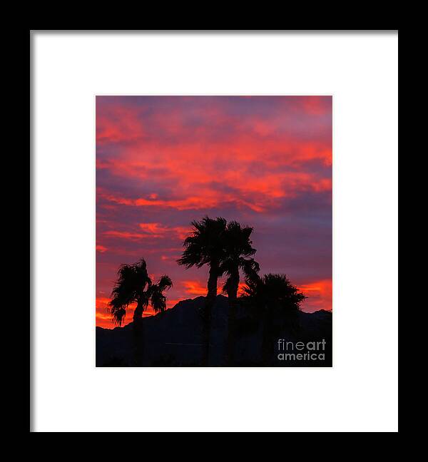 Sunrise Framed Print featuring the photograph Morning Silhouette by Robert Bales