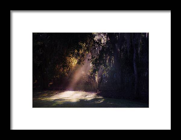 Morning Framed Print featuring the photograph Morning Skylight by Dick Hudson