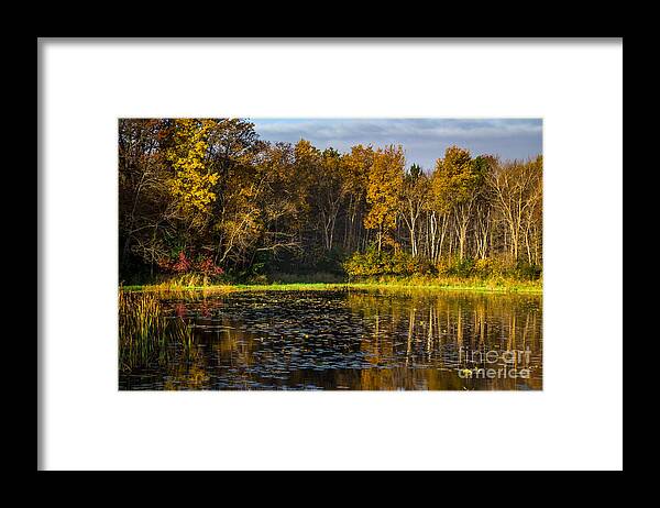 Pond Framed Print featuring the photograph Morning Sun by CJ Benson
