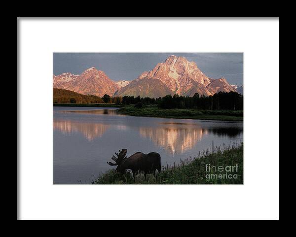 Grand Teton Framed Print featuring the photograph Morning Tranquility by Sandra Bronstein