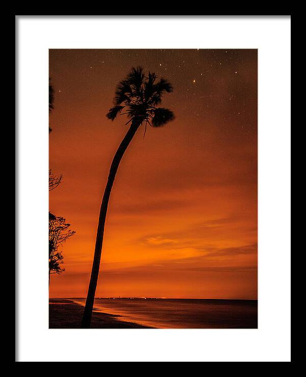Palm Trees Framed Print featuring the photograph Morning Transition by Kevin Senter
