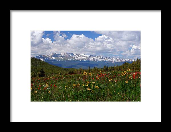 Jeremy Rhoades Framed Print featuring the photograph Mosquito Sunflowers by Jeremy Rhoades