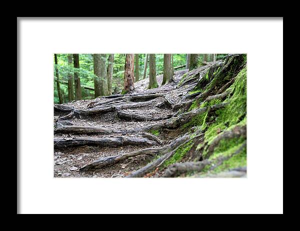 Vermont Framed Print featuring the photograph Moss Glen Falls - Vermont by Christopher Brown