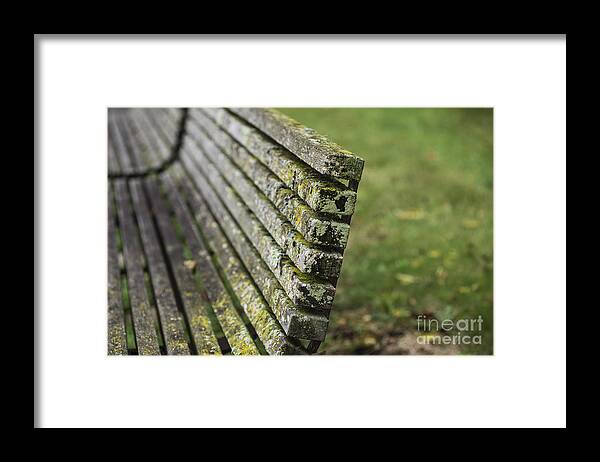 Moss Framed Print featuring the photograph Mossy Bench by David Bearden
