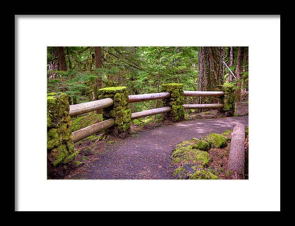 2011 Framed Print featuring the photograph Mossy Path to River by Connie Cooper-Edwards