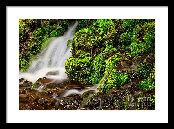Stream Framed Print featuring the photograph Mossy rocks and spring rain runoff by Bruce Block