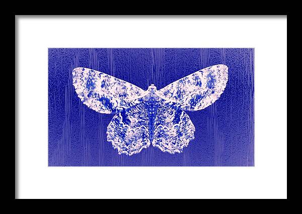 Landscape Framed Print featuring the photograph Moth MAN by Morgan Carter