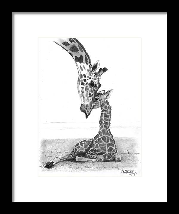Nature Framed Print featuring the drawing Mother Giraffe and The Baby by Eduardo Crowder