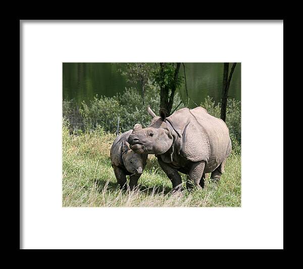 Rhino Print Framed Print featuring the photograph Motherly Love by George Jones