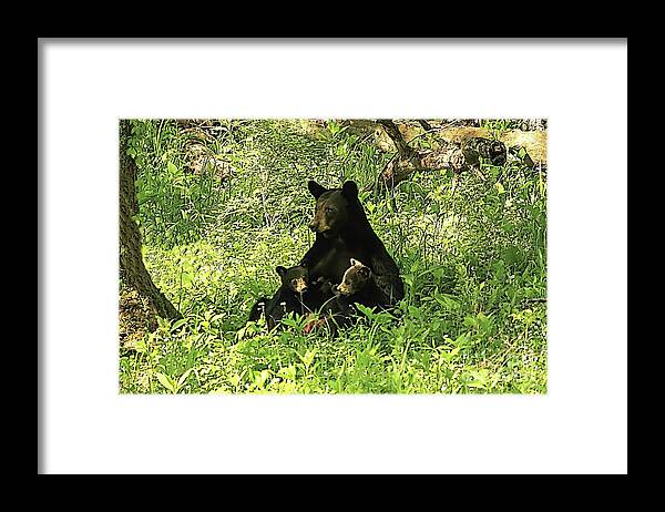 Bear Framed Print featuring the photograph Mother's love by Geraldine DeBoer
