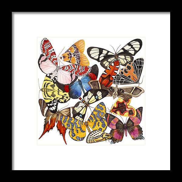 Moths Framed Print featuring the painting Moths and More Moths by Lucy Arnold