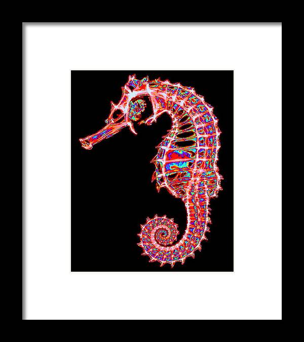 Sea Horse Framed Print featuring the digital art Motley Hippocampus by Larry Beat