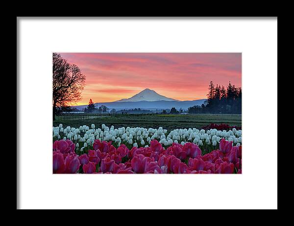 Mark Whitt Framed Print featuring the photograph Mount Hood Sunrise by Mark Whitt